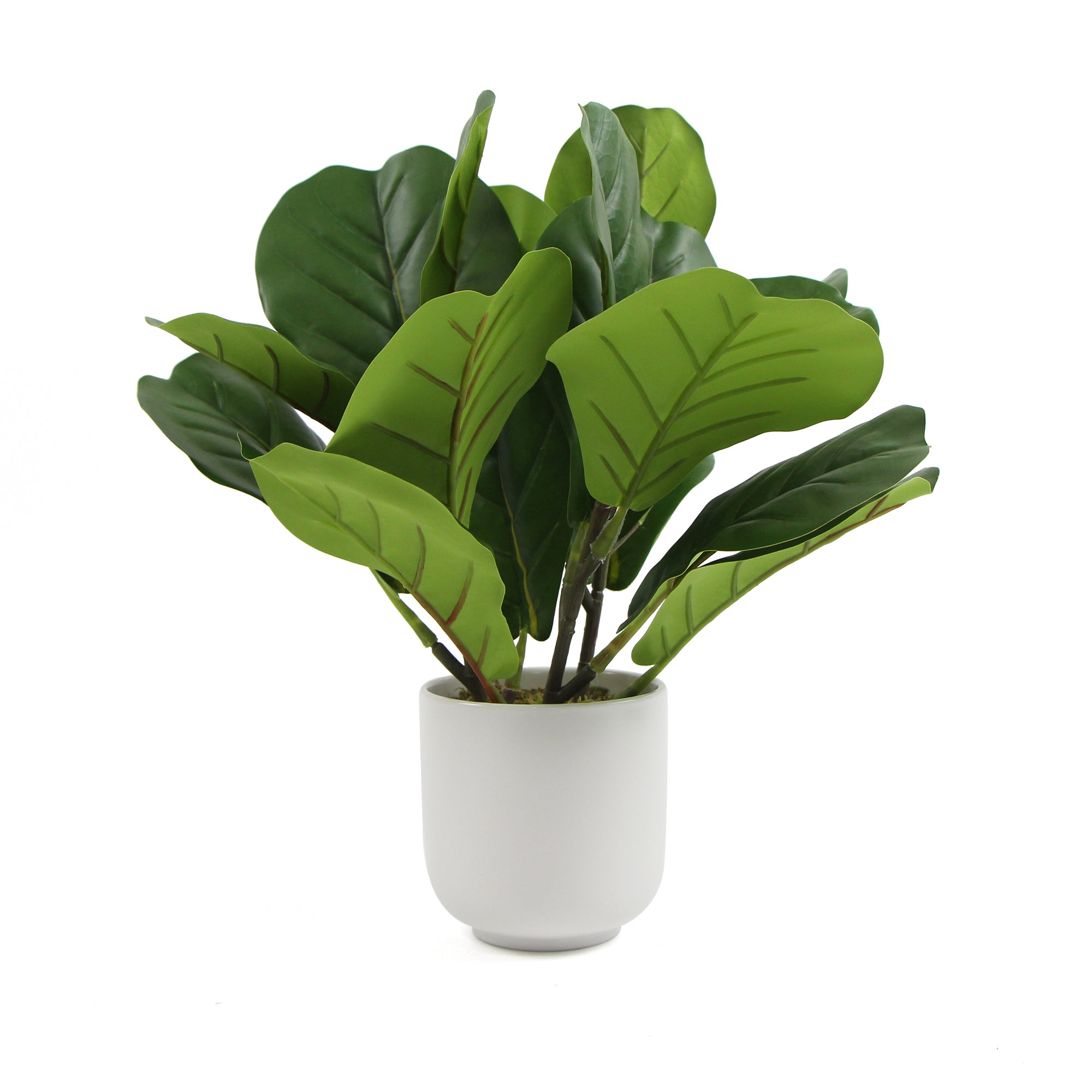 decorative-potted-dense-artificial-fiddle-leaf-fig-in-beautiful-decorative-bowl-37cm