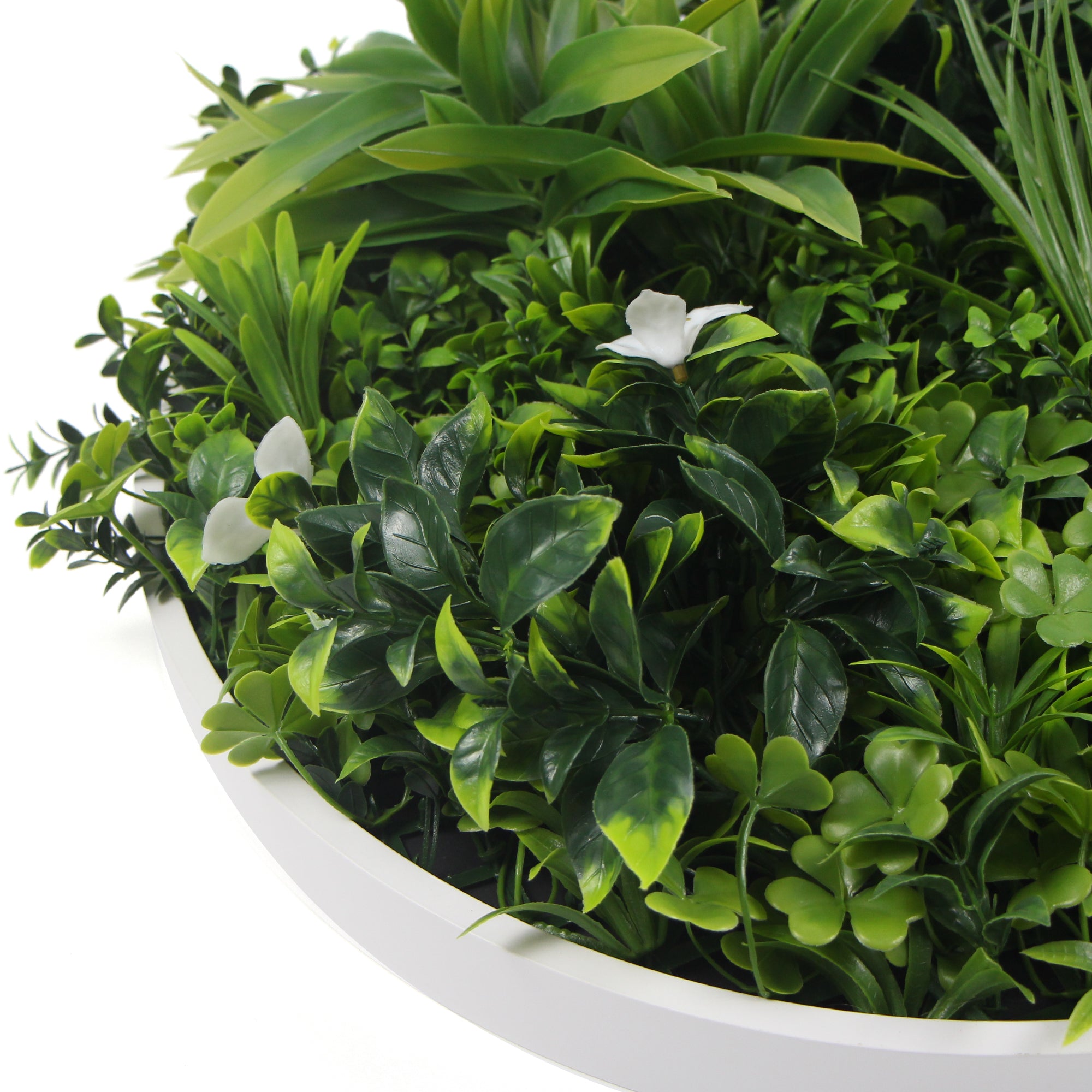 flowering-white-artificial-green-wall-disc-uv-resistant-75cm-white-frame