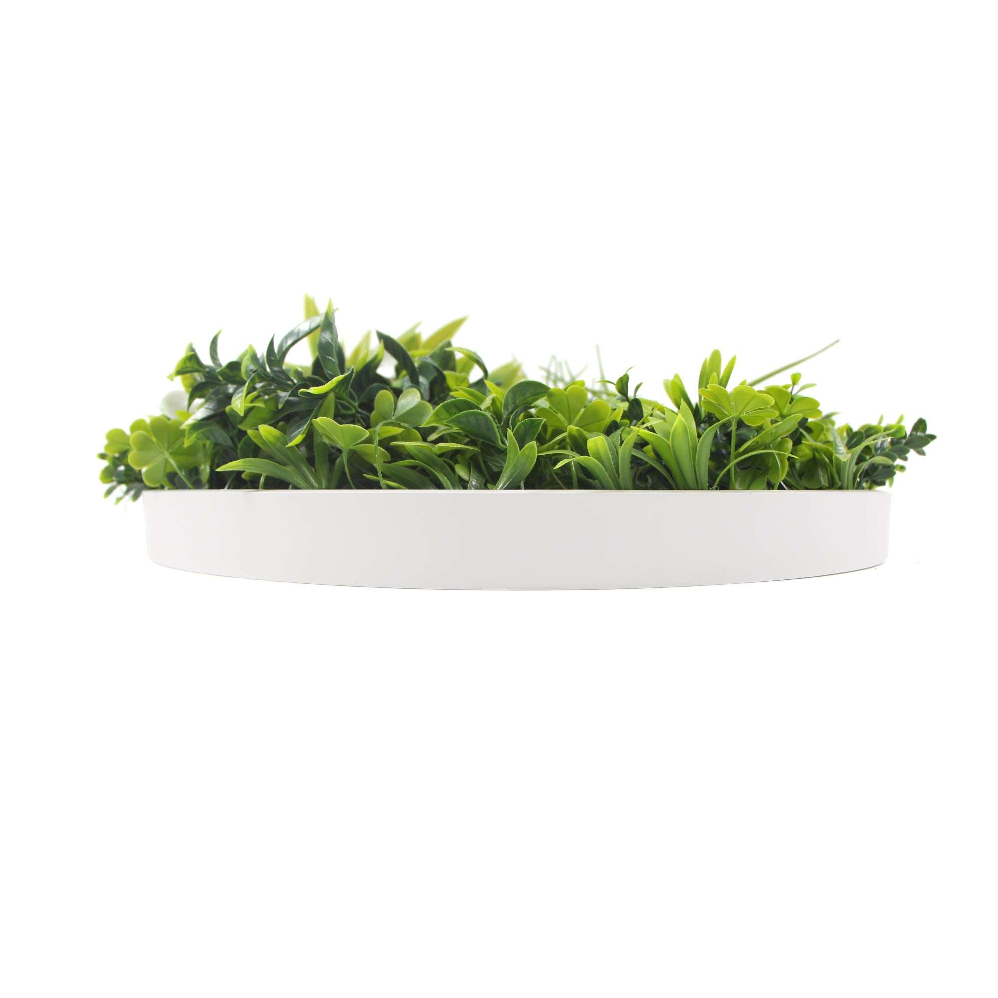 flowering-white-artificial-green-wall-disc-uv-resistant-75cm-white-frame