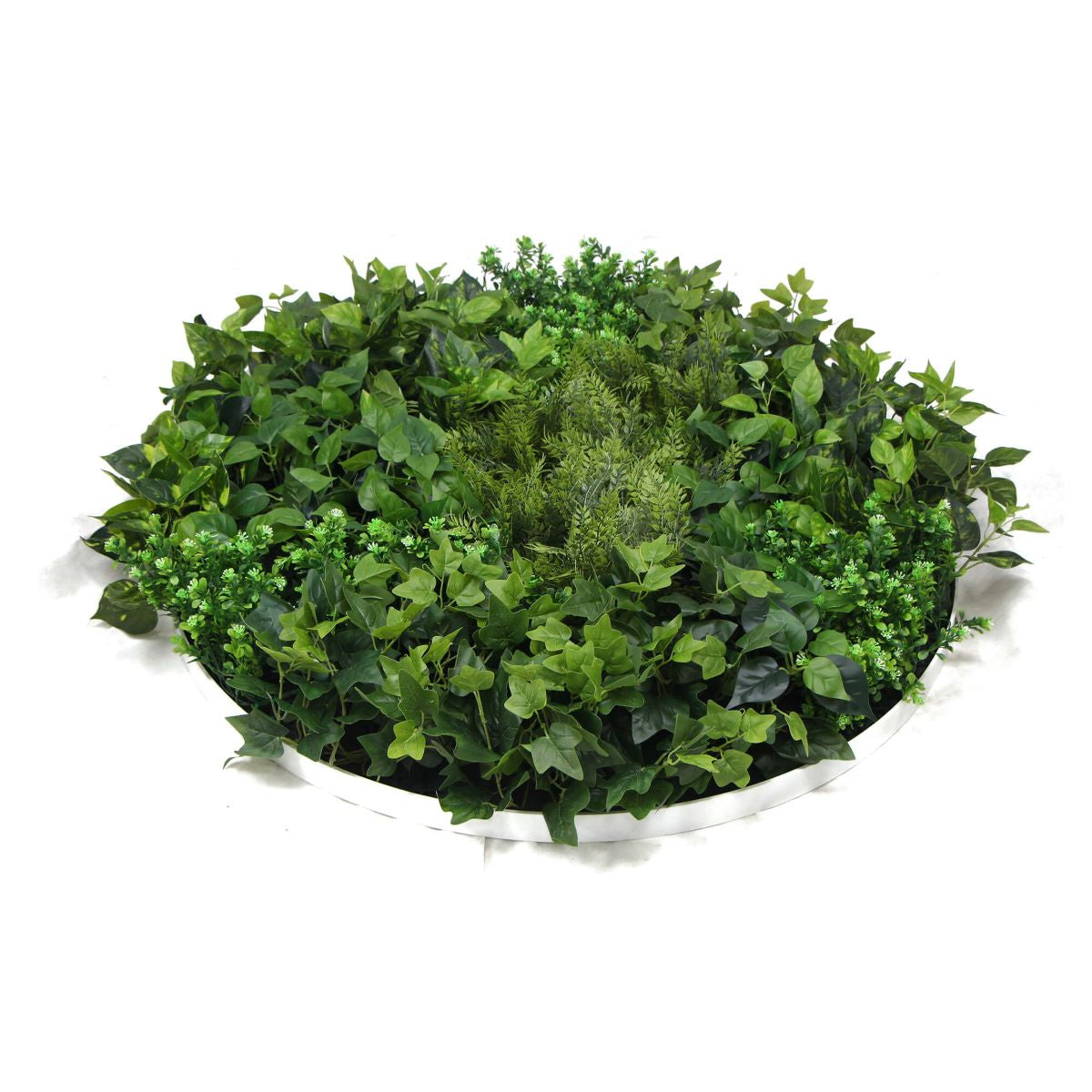 slimline-artificial-green-wall-disc-art-80cm-mixed-green-fern-ivy-white