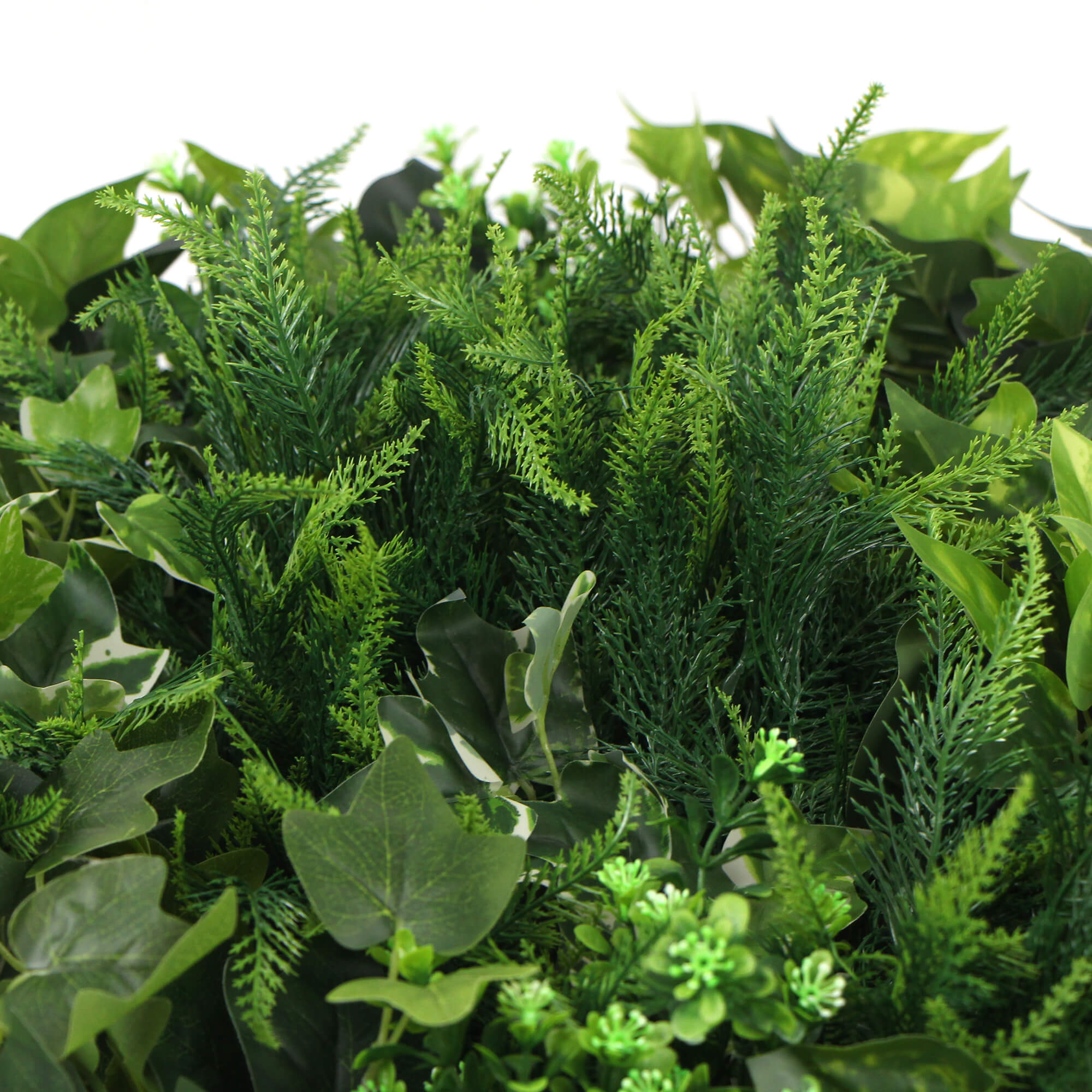 slimline-artificial-green-wall-disc-art-100cm-mixed-green-fern-fresh-white