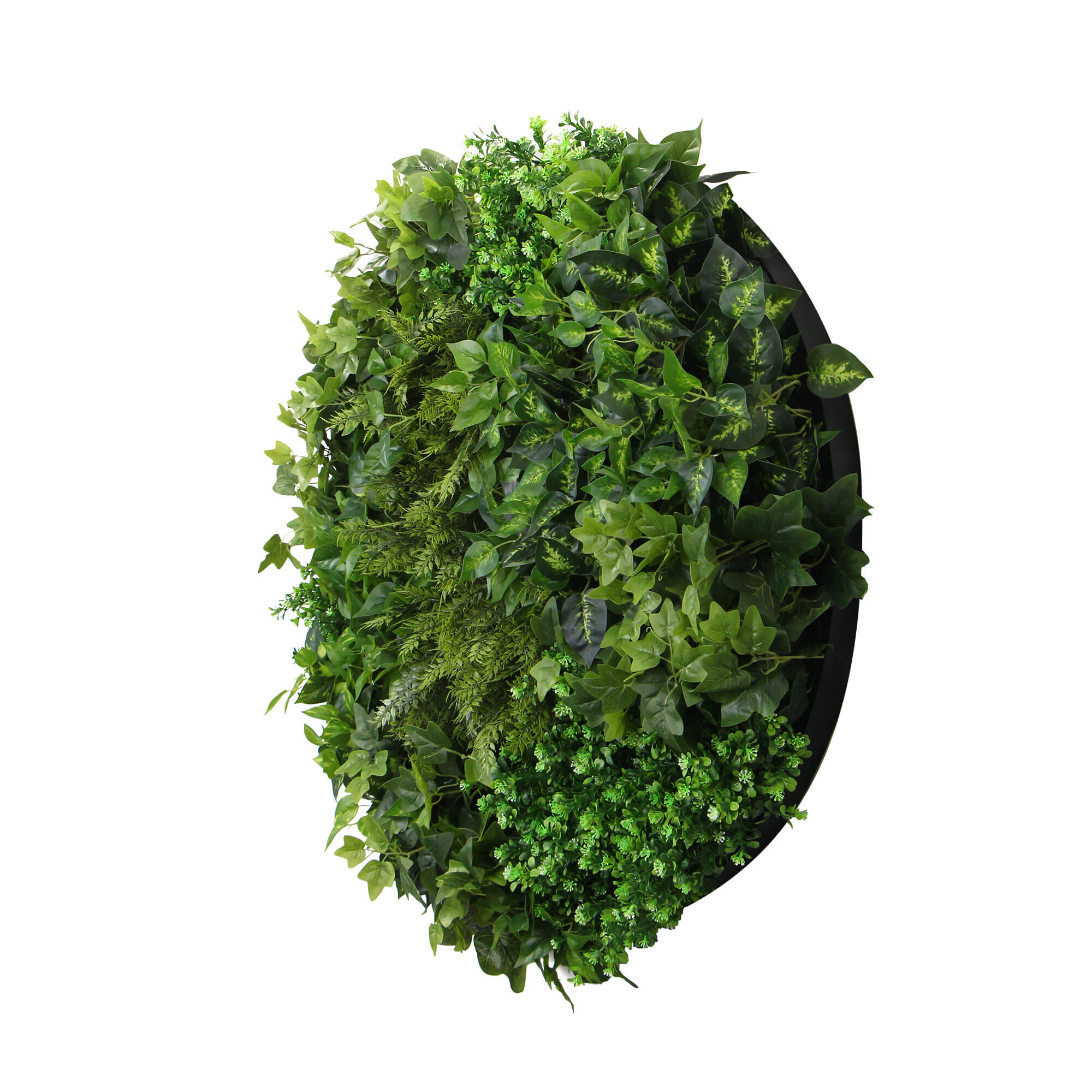 slimline-artificial-green-wall-disc-art-90cm-mixed-green-fern-black