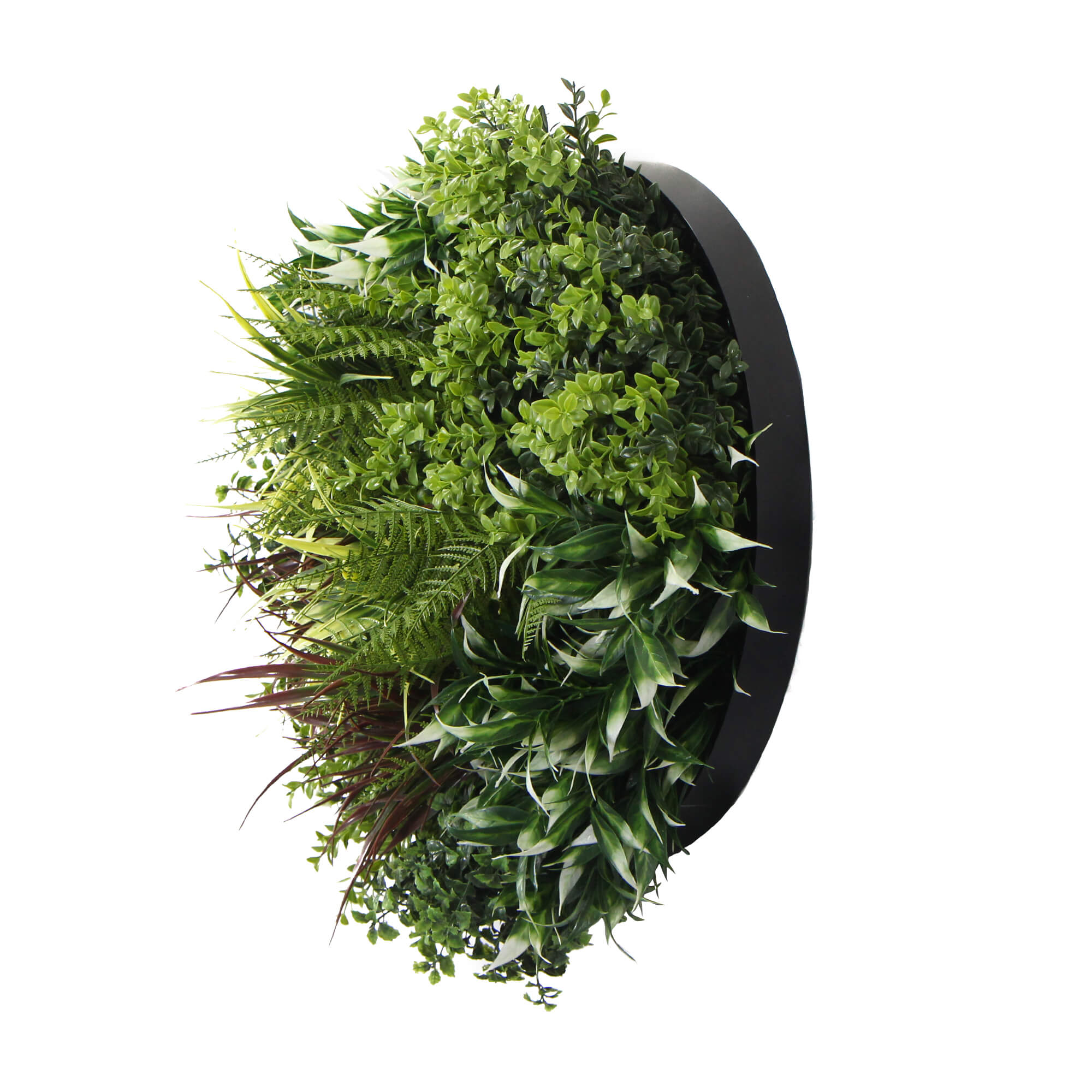 slimline-artificial-green-wall-disc-art-50cm-green-field-uv-resistant-black
