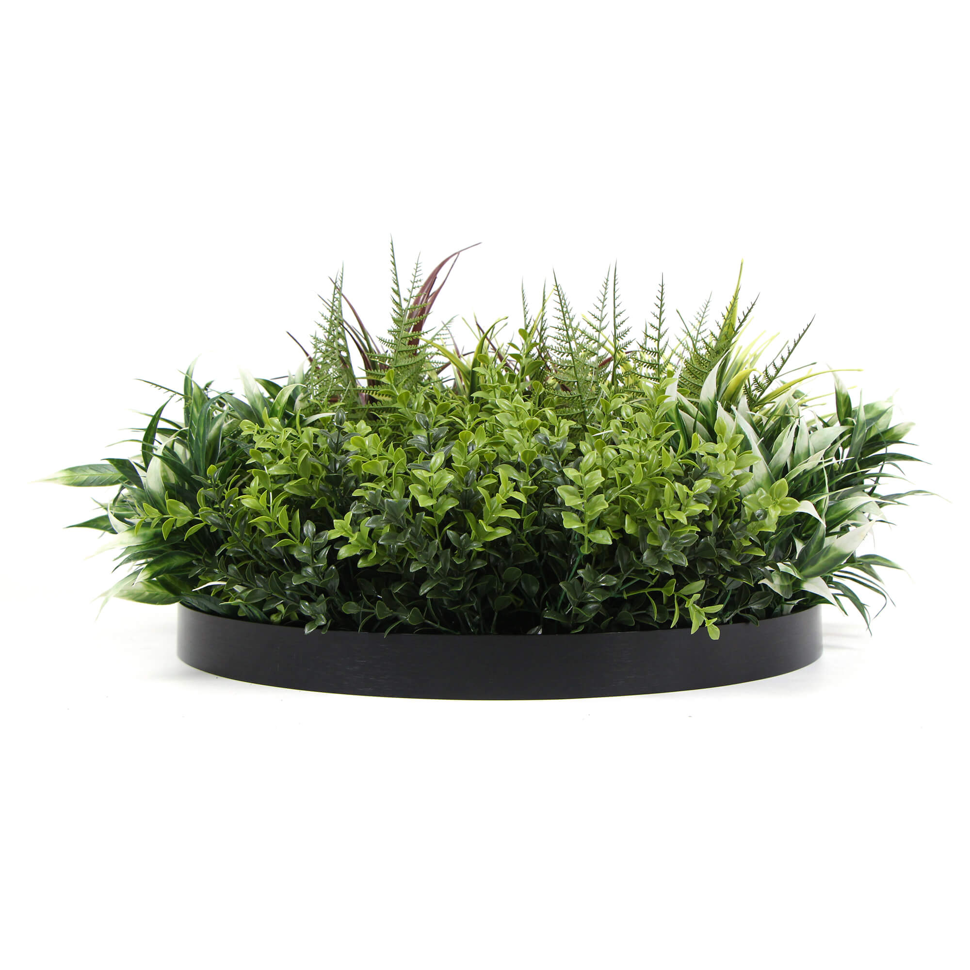 slimline-artificial-green-wall-disc-art-50cm-green-field-uv-resistant-black