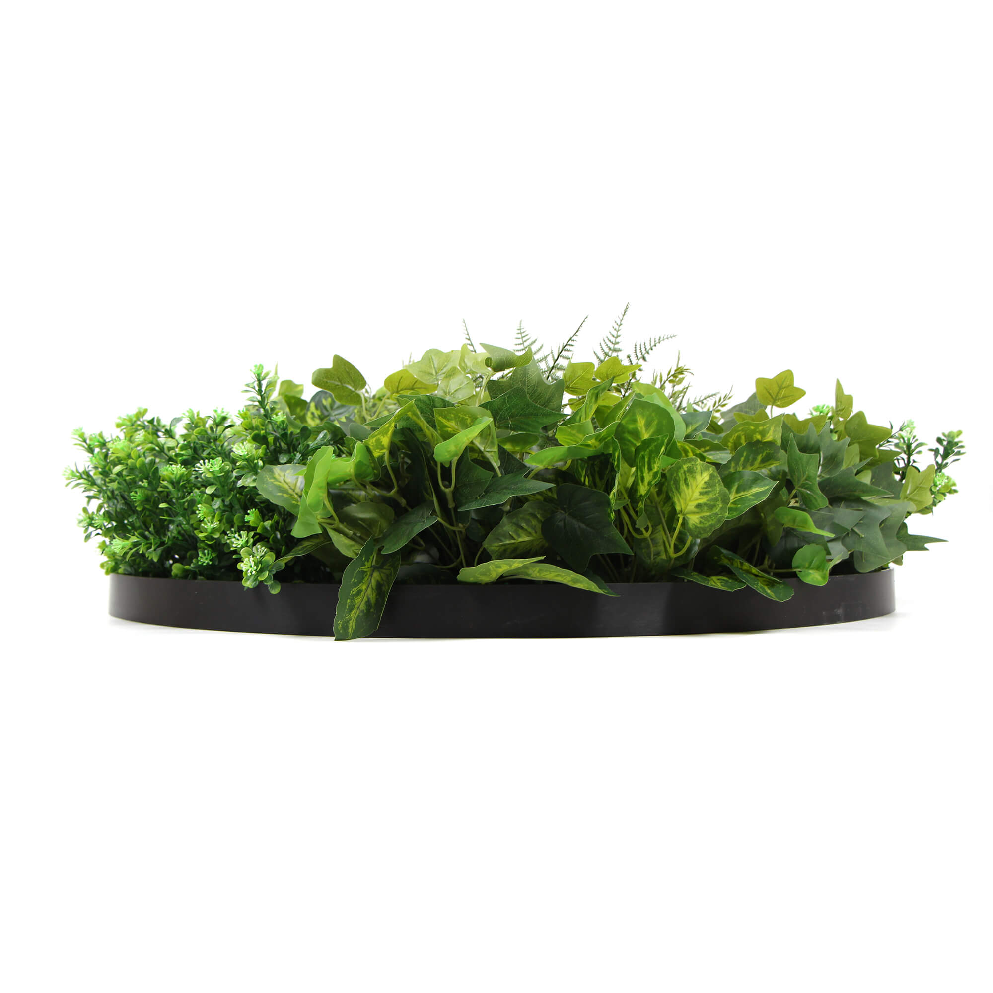 slimline-artificial-green-wall-disc-art-80cm-mixed-green-fern-ivy-modern-black