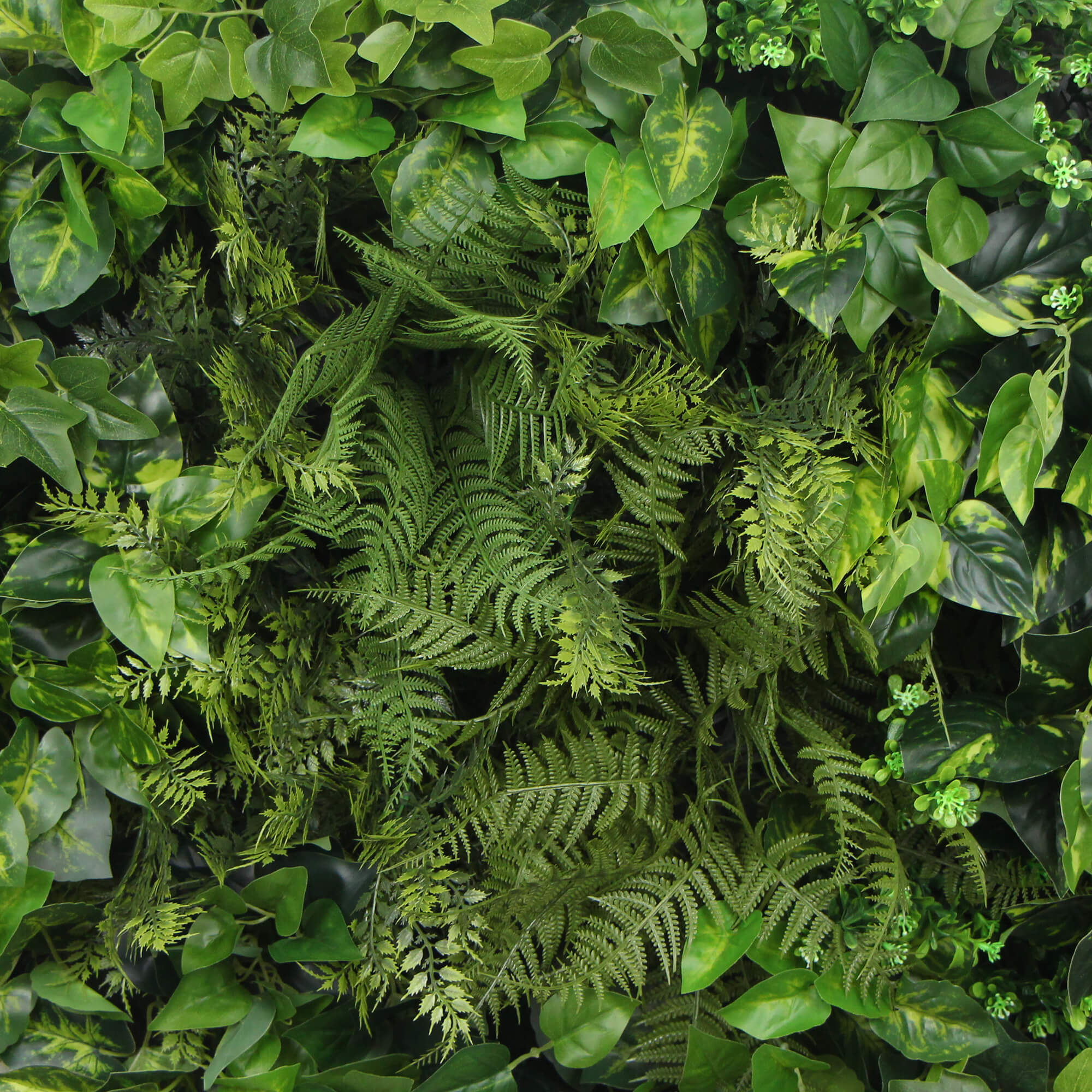 slimline-artificial-green-wall-disc-art-80cm-mixed-green-fern-ivy-modern-black