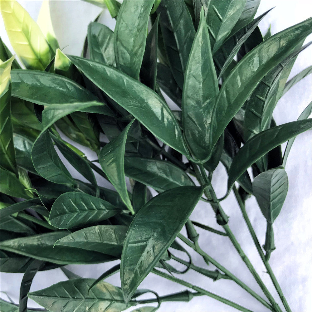 white-tipped-willow-oak-stem-uv-resistant-30cm
