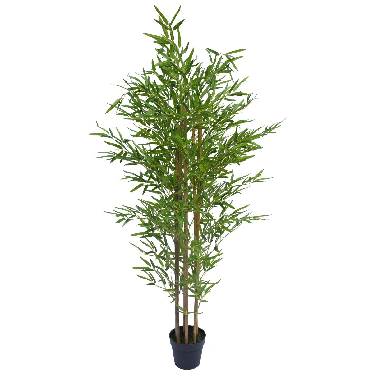 natural-bamboo-trunk-real-touch-leaves-180cm