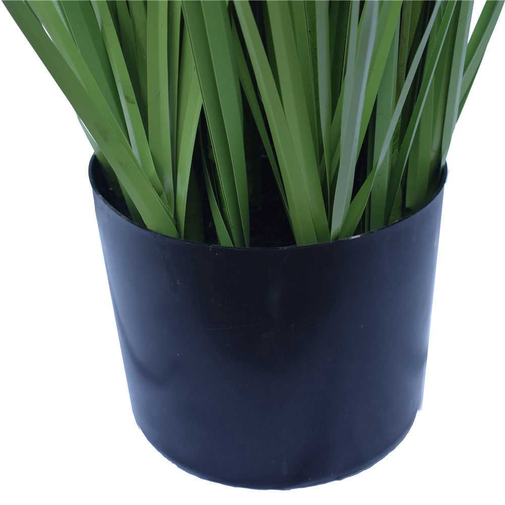 flowering-native-grass-120-cm