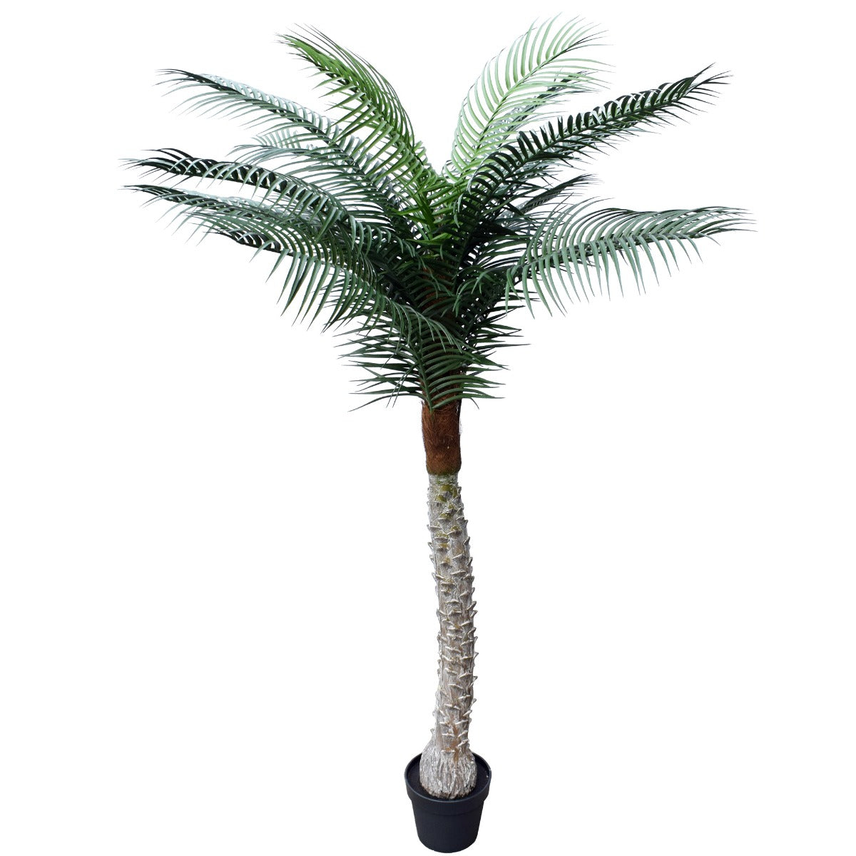 tropical-phoenix-palm-tree-170cm-uv-resistant