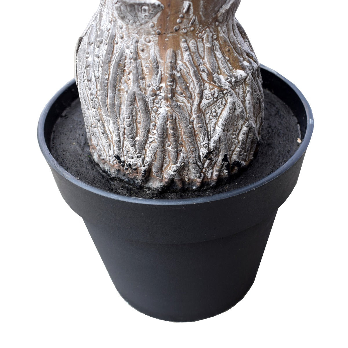 tropical-phoenix-palm-tree-170cm-uv-resistant