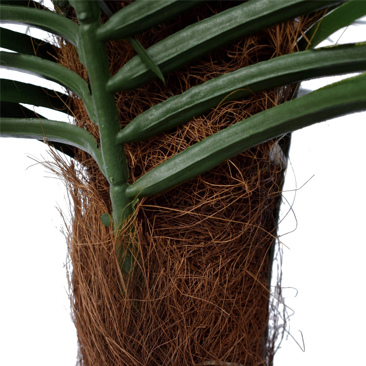 tropical-phoenix-palm-tree-170cm-uv-resistant