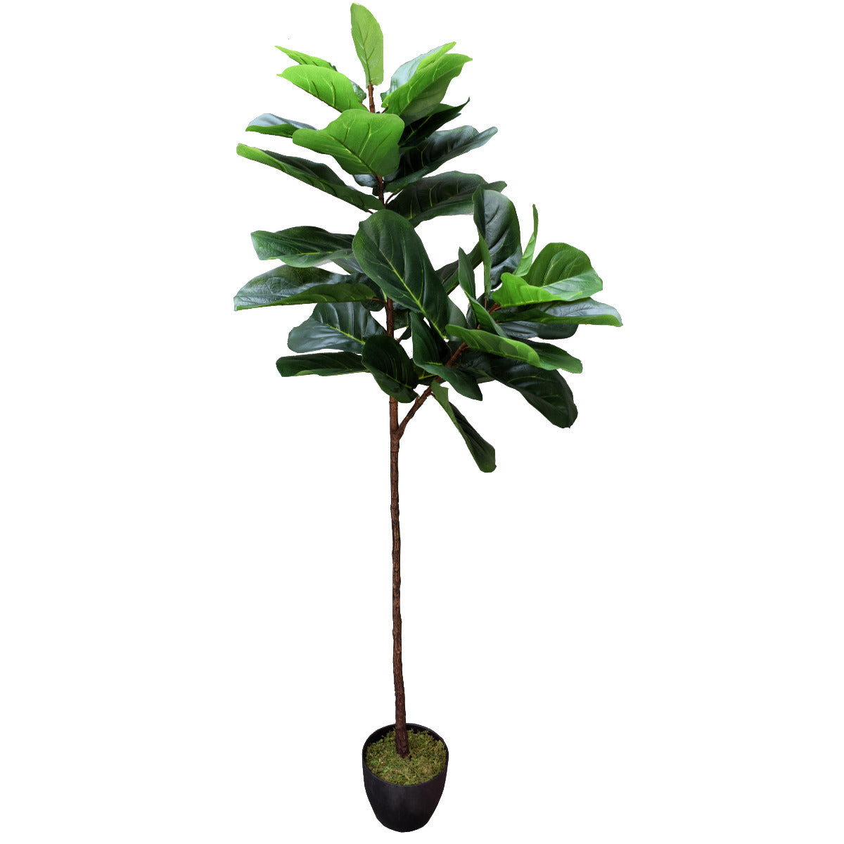tall-artificial-fiddle-leaf-fig-170cm