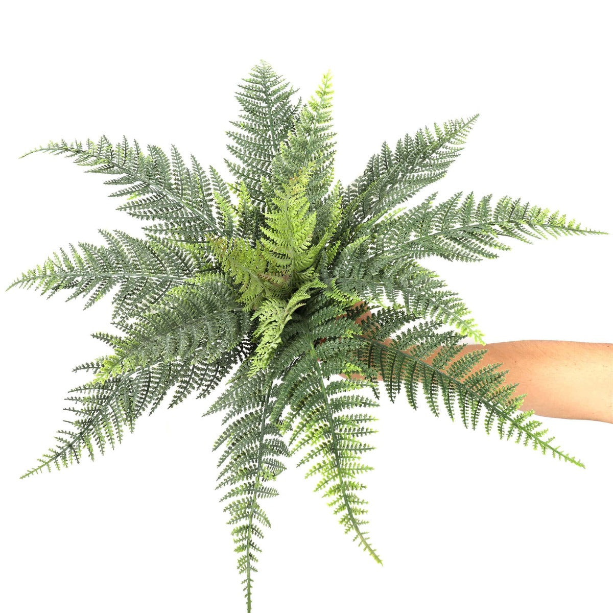 premium-artificial-australian-fern-uv-resistant-60cm