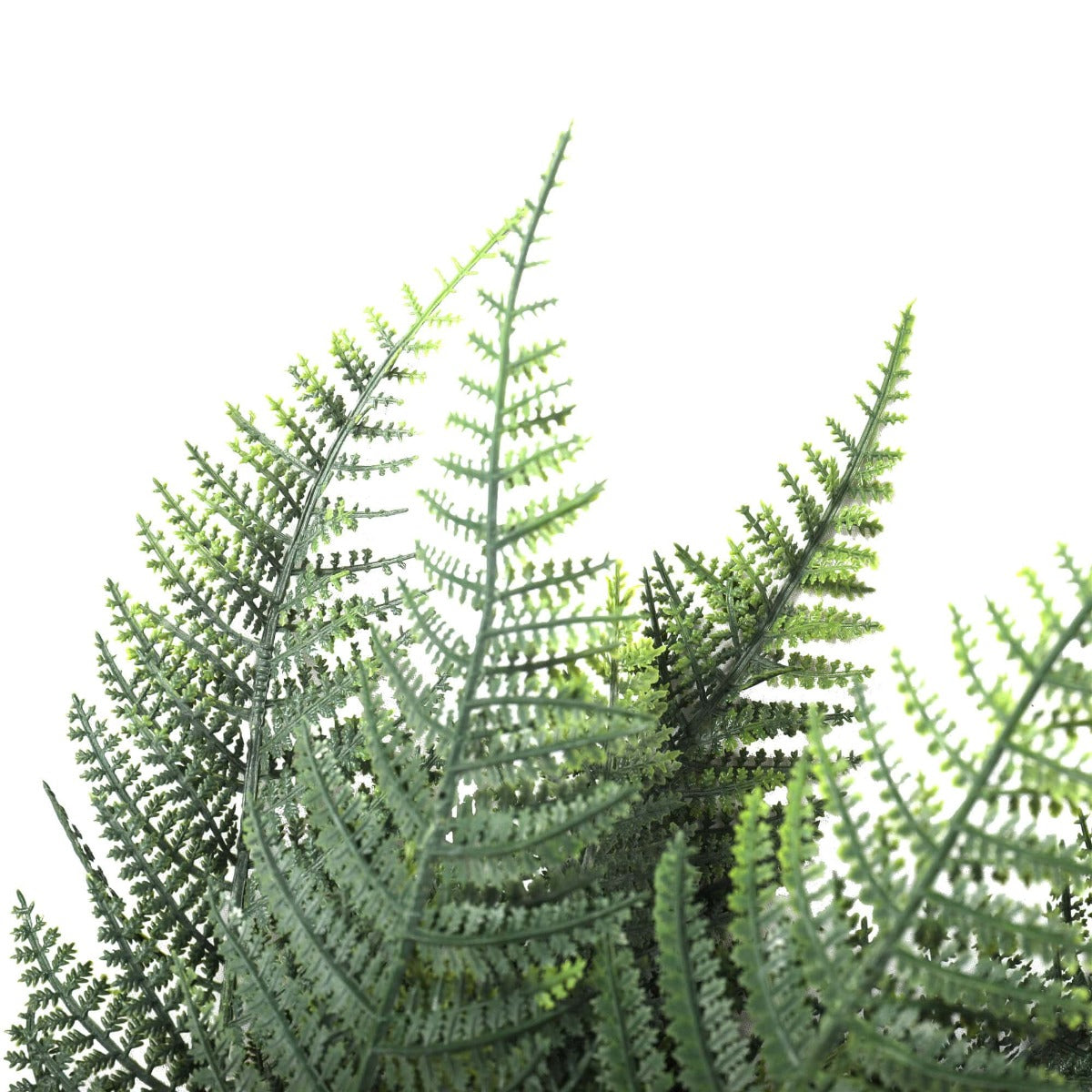 premium-artificial-australian-fern-uv-resistant-60cm