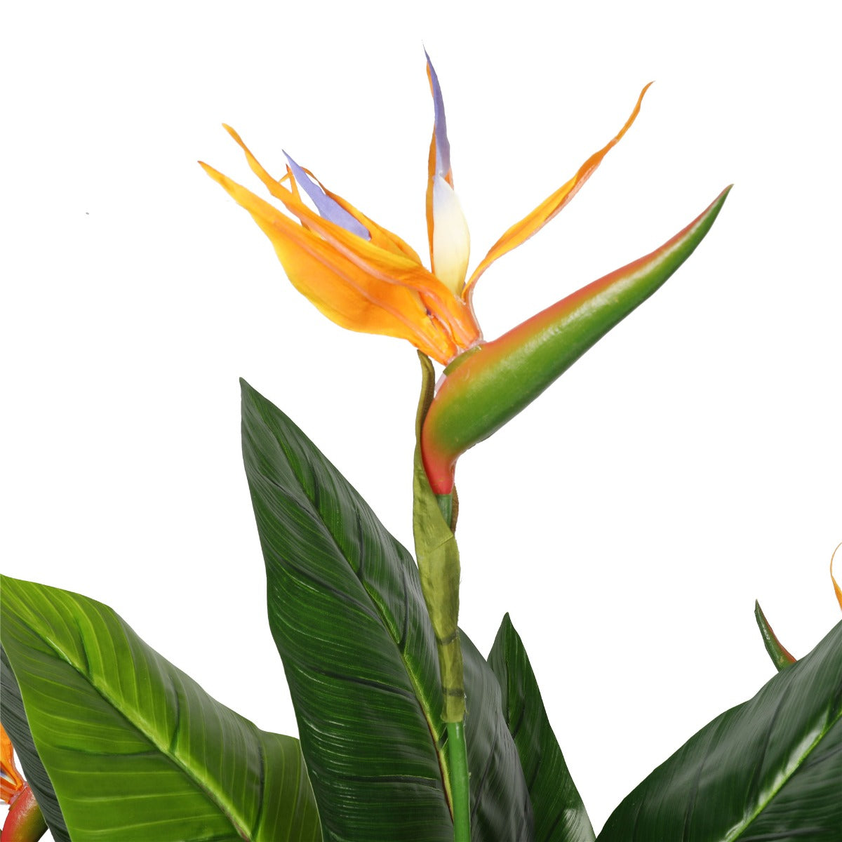 artificial-potted-150cm-bird-of-paradise-plant