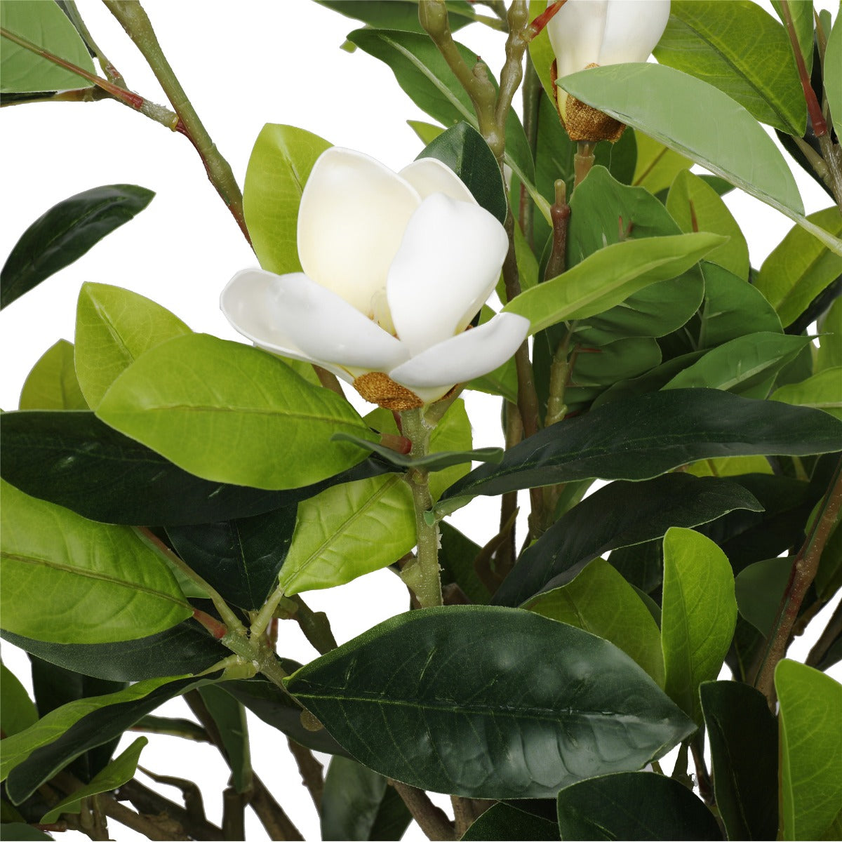 faux-white-flowering-magnolia-tree-with-pot-130cm