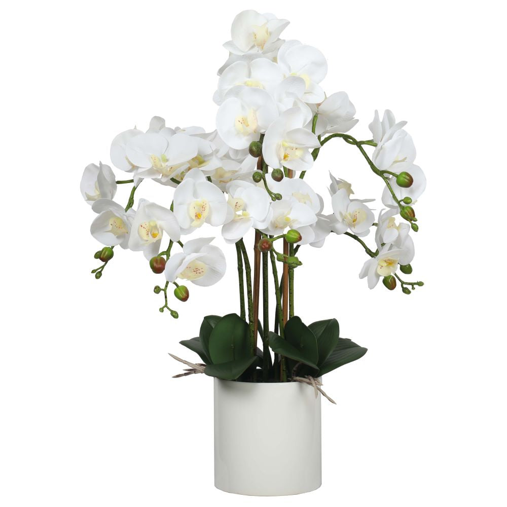 large-multi-stem-white-potted-faux-orchid-65cm