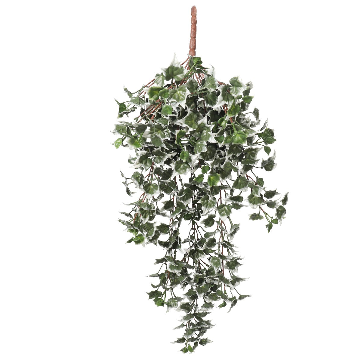 mixed-green-and-white-tipped-ivy-bush-80cm-uv-resistant