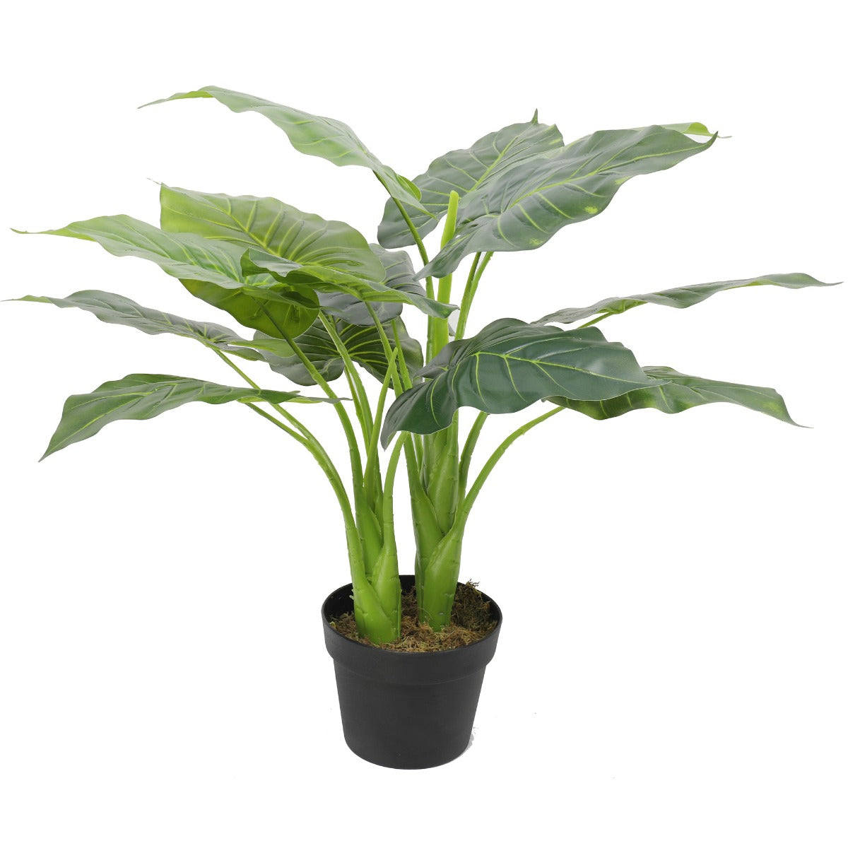 artificial-potted-taro-plant-elephant-ear-70cm