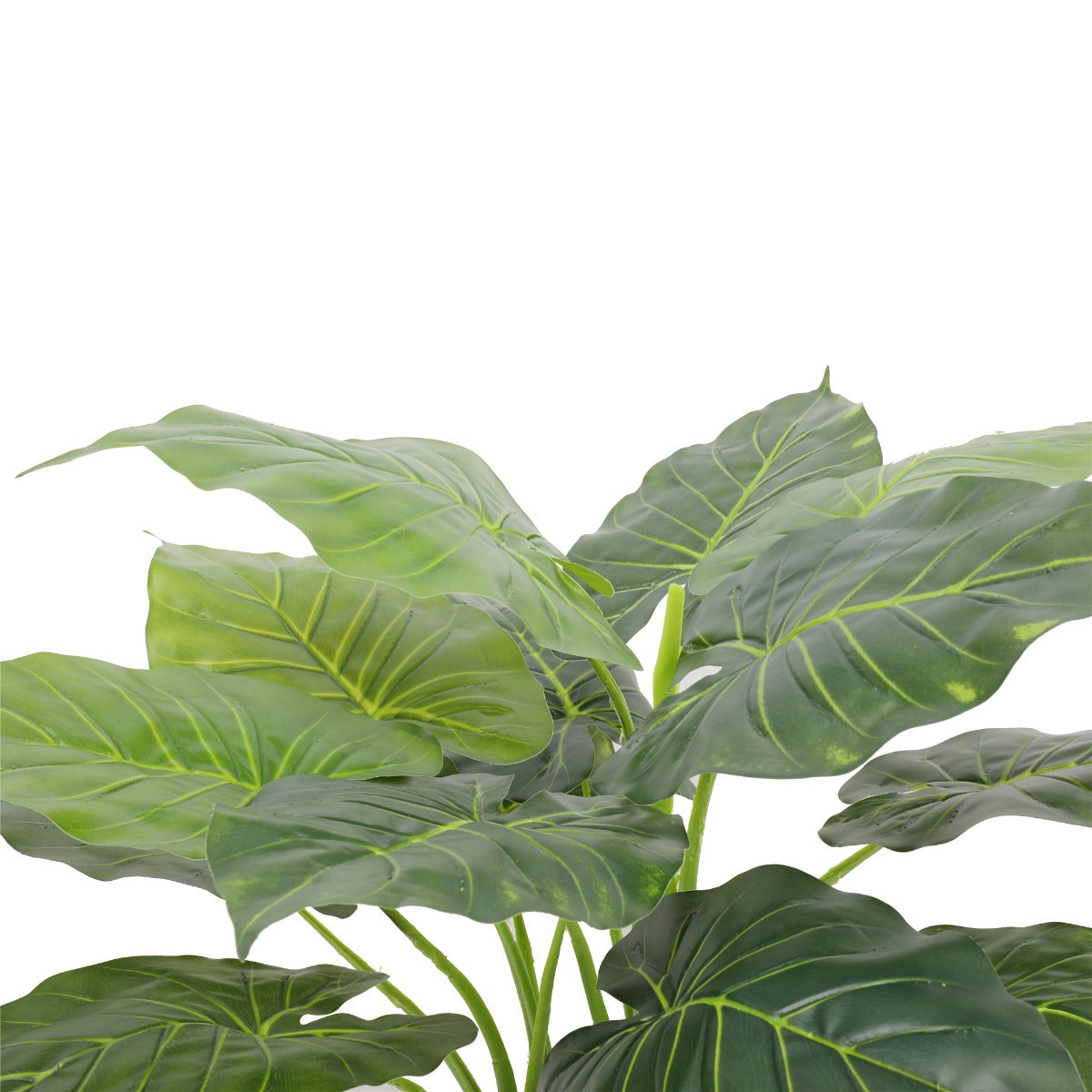 artificial-potted-taro-plant-elephant-ear-70cm