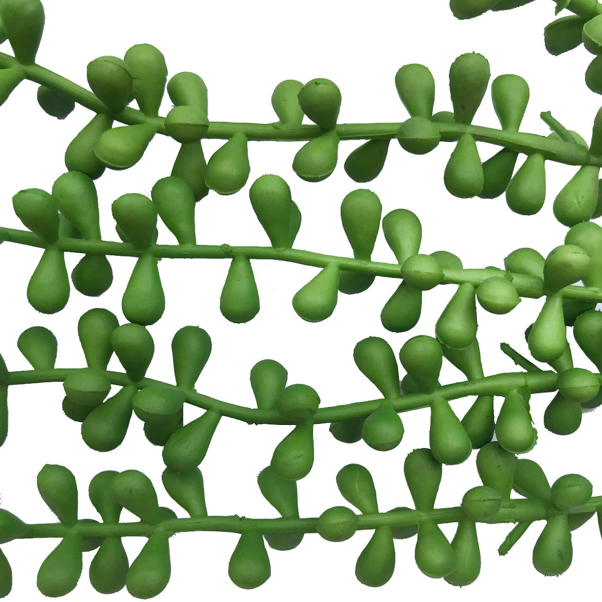hanging-succulent-string-of-pearl-beads-75cm