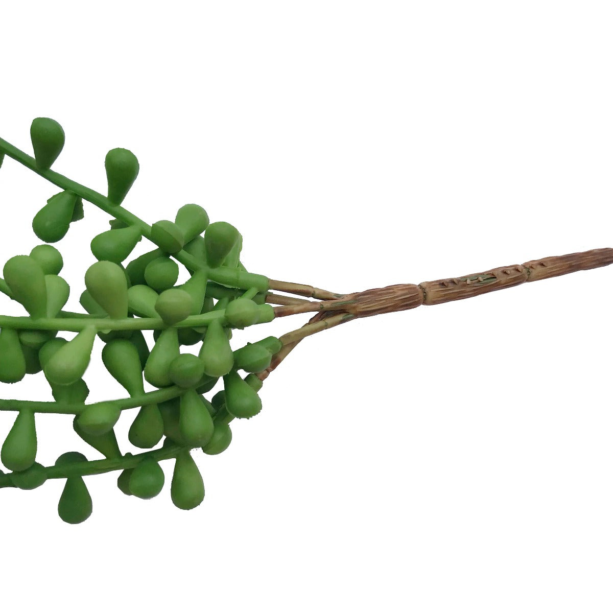 hanging-succulent-string-of-pearl-beads-75cm