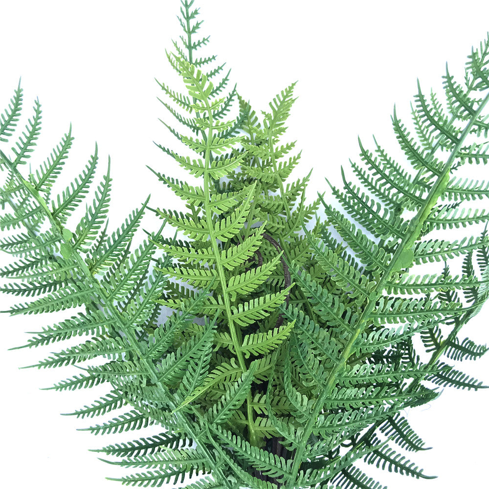 dark-fern-stem-uv-resistant-38cm