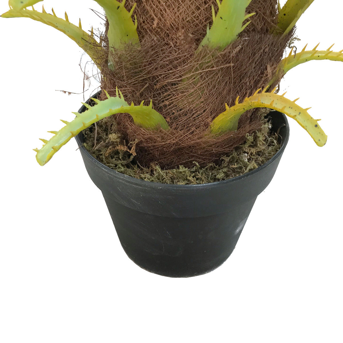 80cm-artificial-phoenix-palm