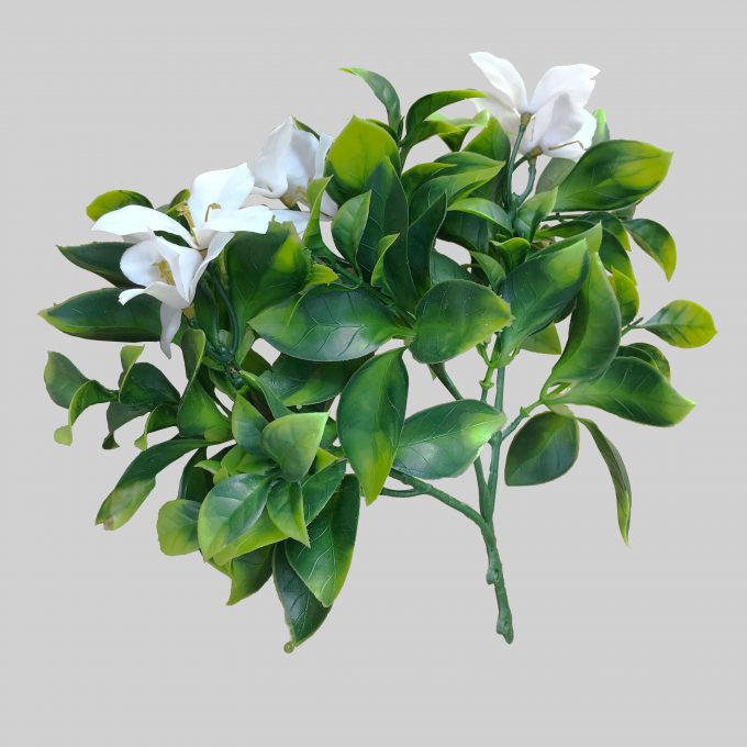 white-flowering-jasmine-stem-uv-resistant-30cm