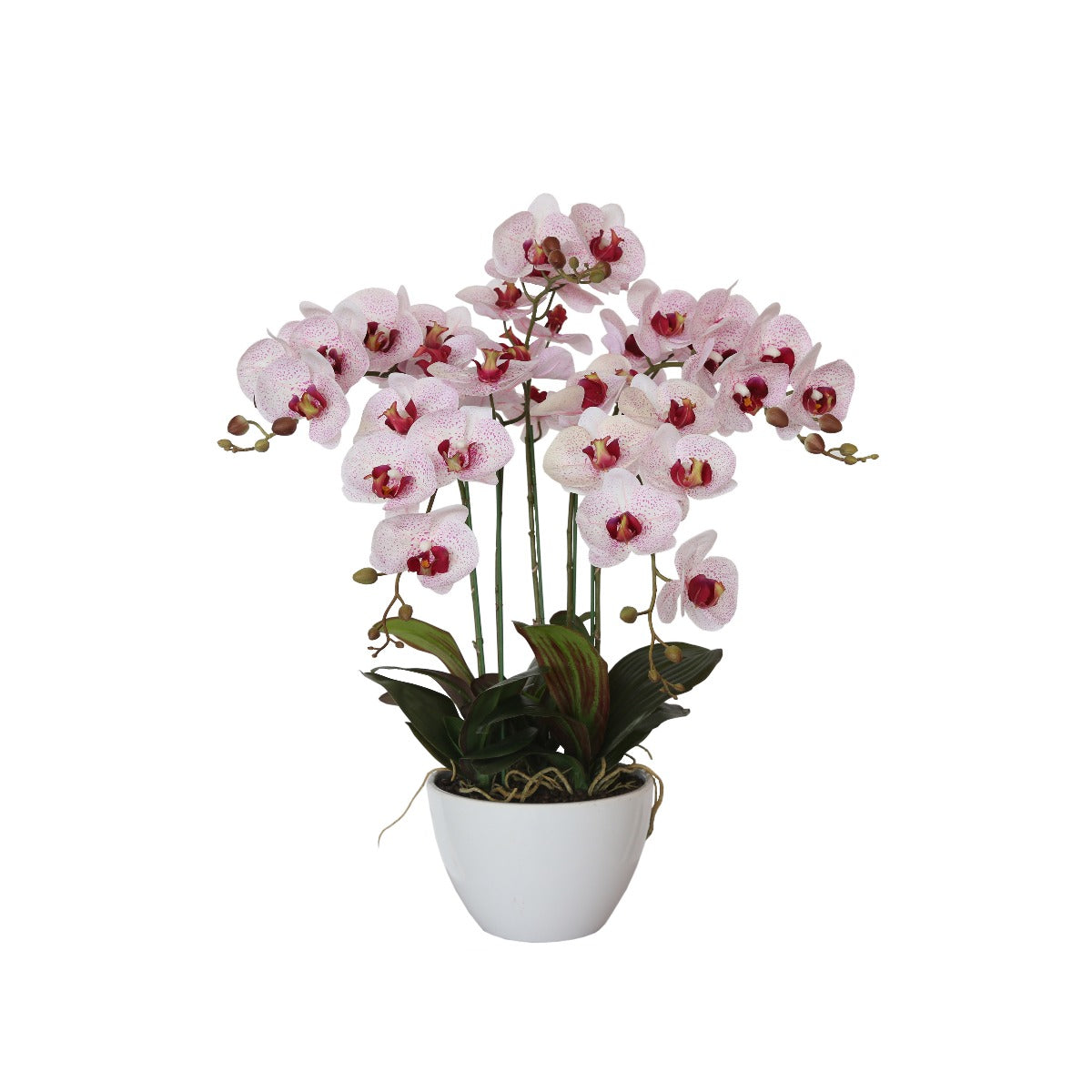 66cm-multi-butterfly-orchid-pink