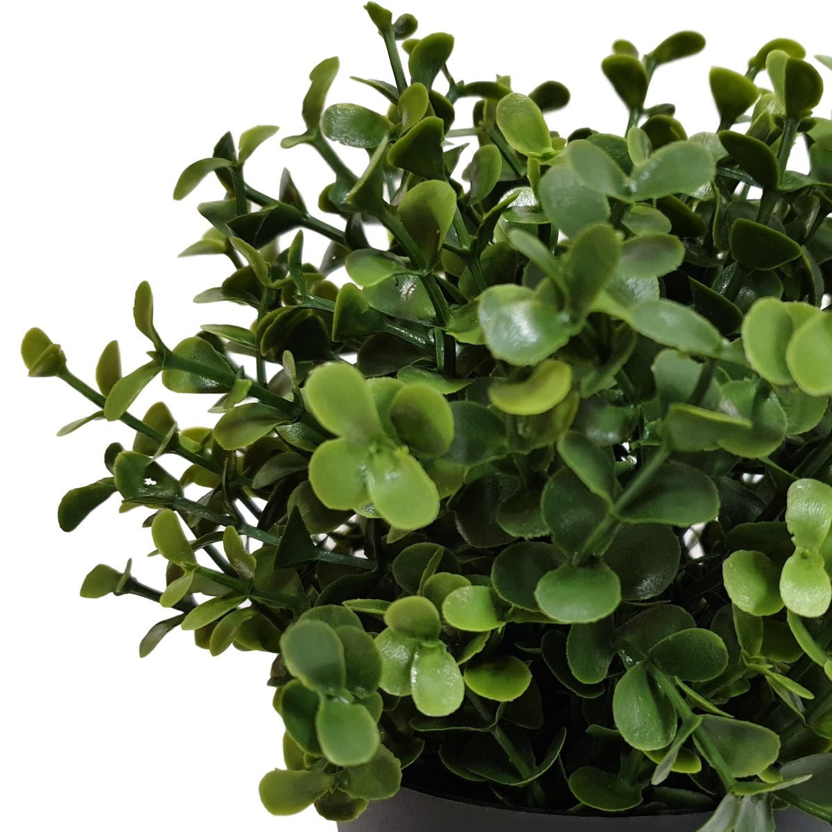 small-potted-artificial-buxus-plant-uv-resistant-20cm