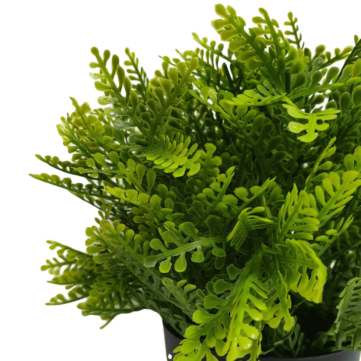 small-potted-artificial-mimosa-fern-uv-resistant-20cm