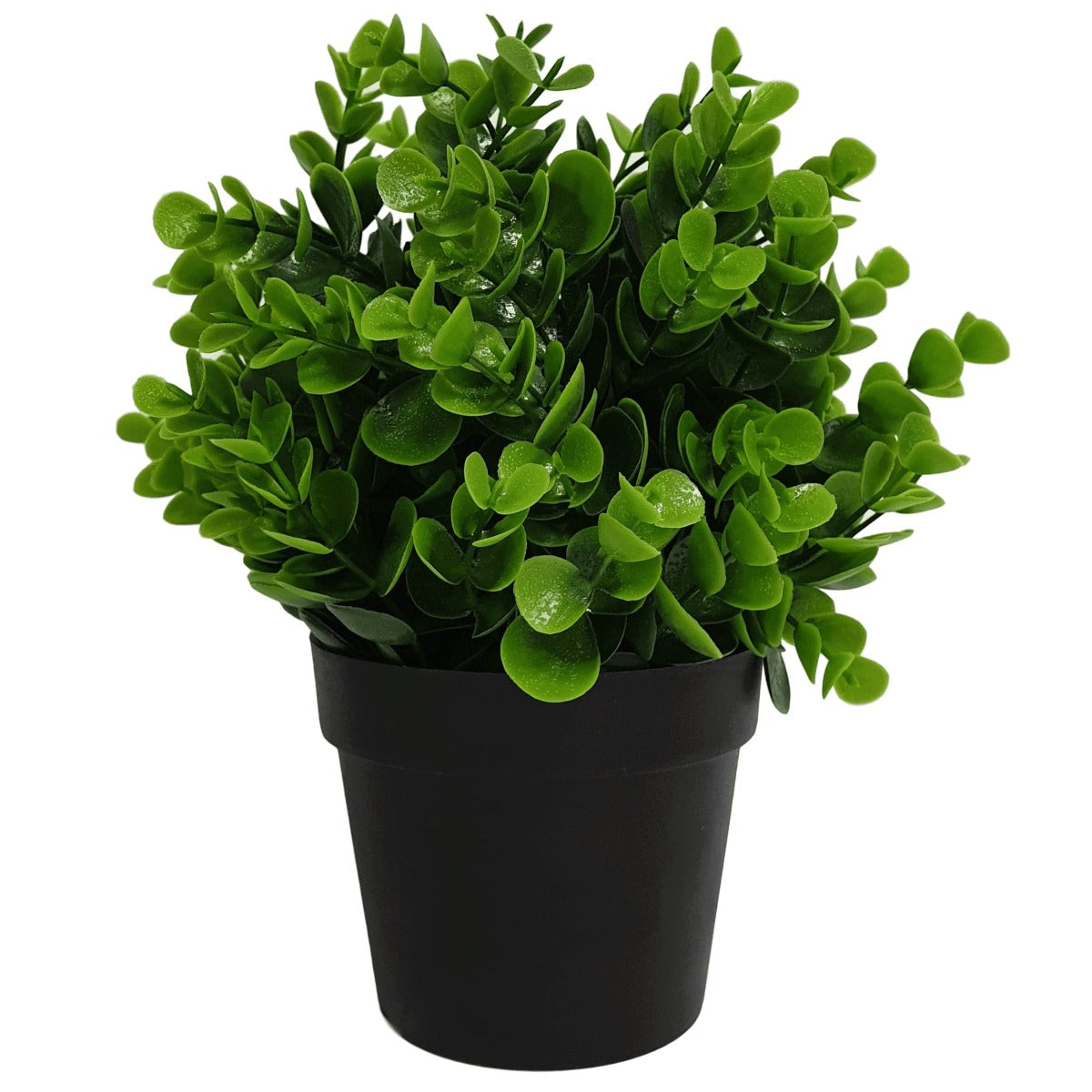 small-potted-artificial-peperomia-plant-uv-resistant-20cm