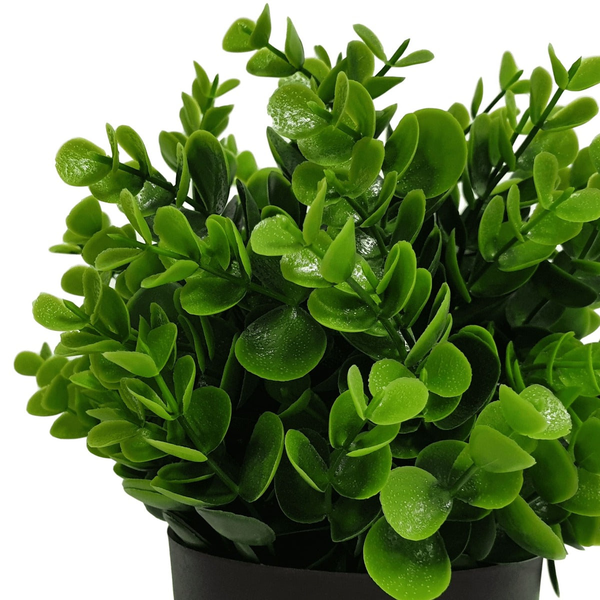 small-potted-artificial-peperomia-plant-uv-resistant-20cm