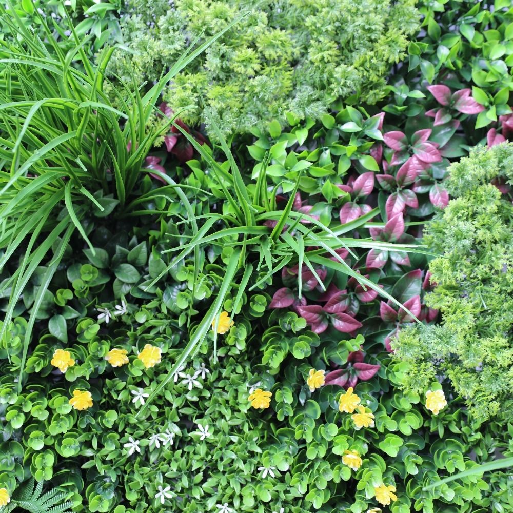 country-fern-vertical-garden-green-wall-uv-resistant-100cm-x-100cm